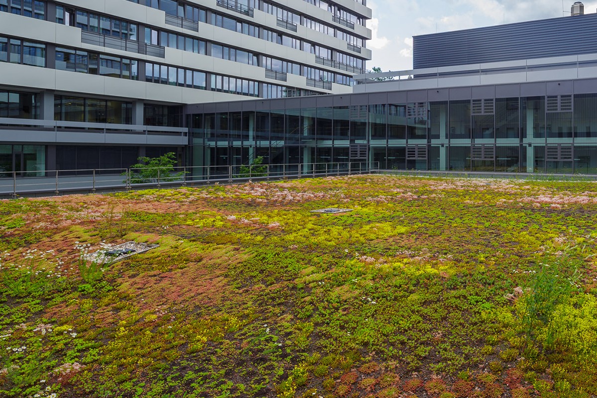 Optigreen Acoperiș Economic (sistem de acoperiș verde extensiv)